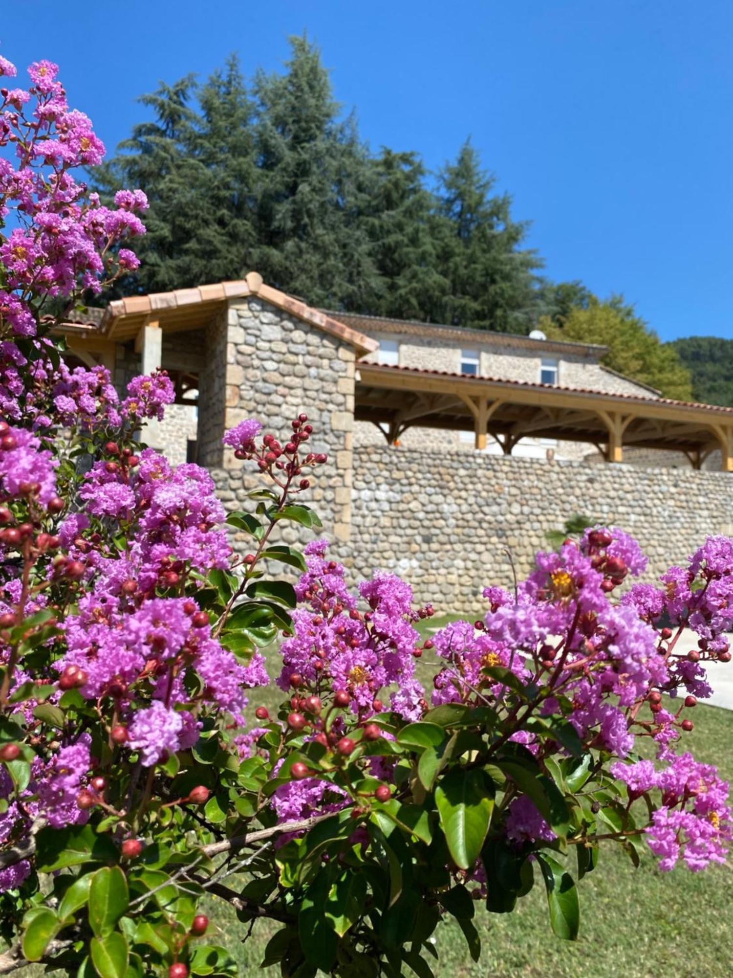 Bed and Breakfast Domaine Les Buis Saint-Fortunat-sur-Eyrieux Экстерьер фото